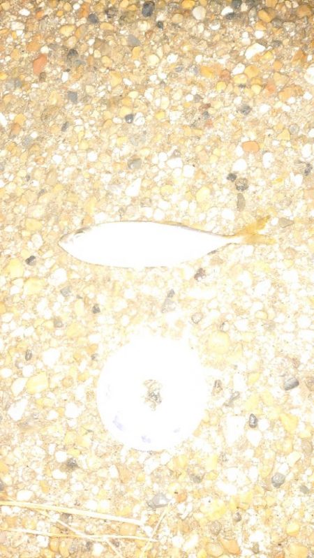 わかってはいたものの