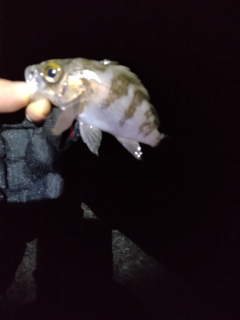 ワケあり短時間