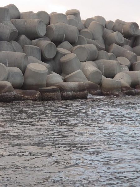 クロ釣り(畝刈)