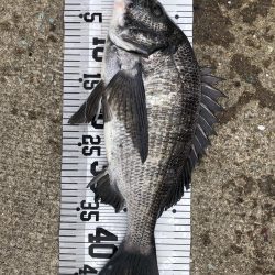 イチノ兄弟（兄）釣果！