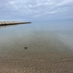 今年初ガッシー