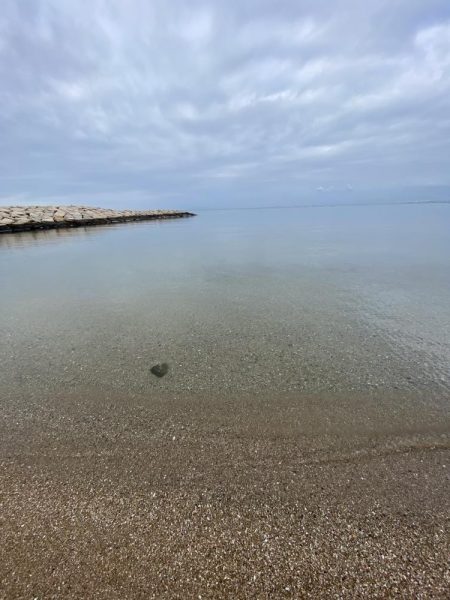 今年初ガッシー