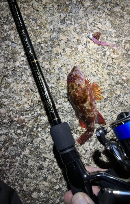 おNEWロッドでガシリング