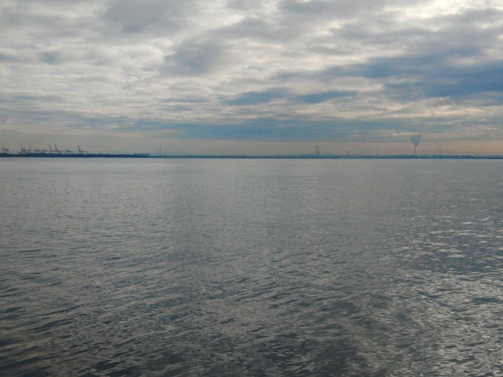 新年も安定のま○○