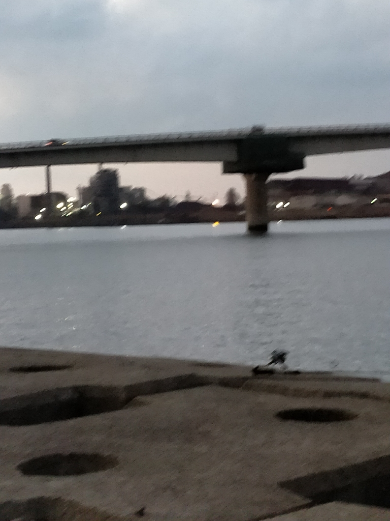 フラット狙いでマゴチ