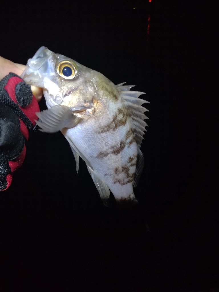 厳しい季節です