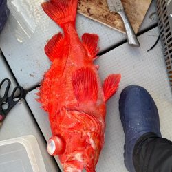 和歌山沖深海釣り