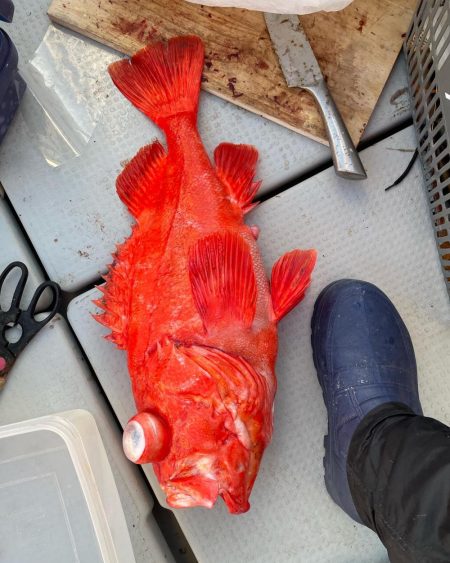 和歌山沖深海釣り