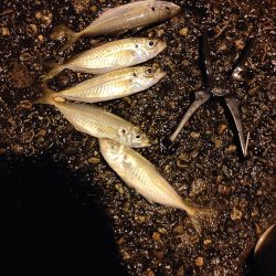 あやしい天気ですが