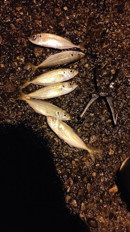 あやしい天気ですが