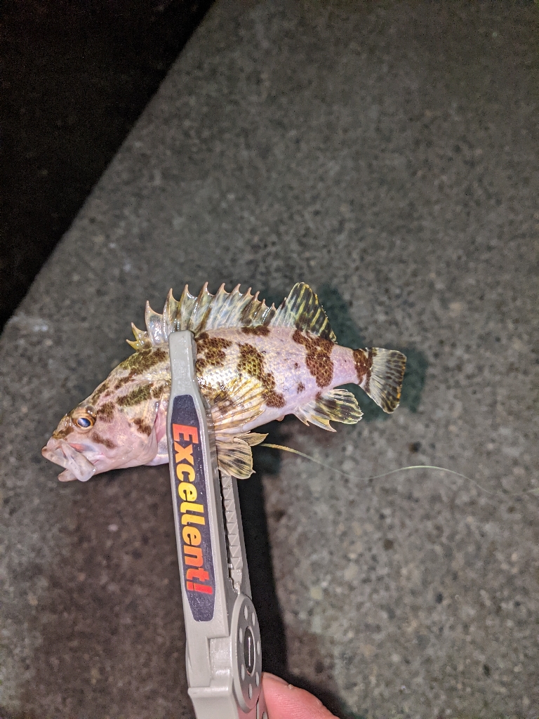 わかってたけど…