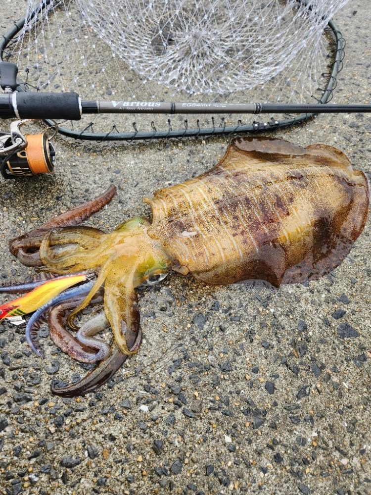 2023年 初キロアップ