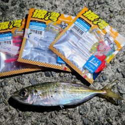 初釣りINN淡路島