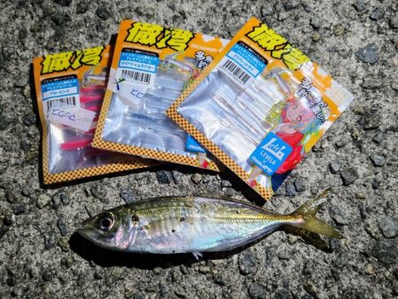 初釣りINN淡路島