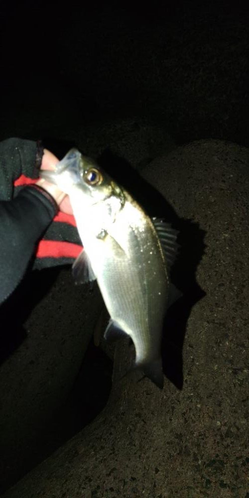 フロートゲーム～