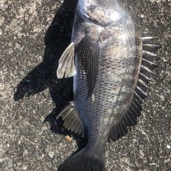 イチノ兄弟(兄)釣果!