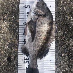 イチノ兄弟（兄）釣果！