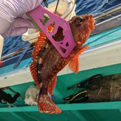 イシダイ初GET✨