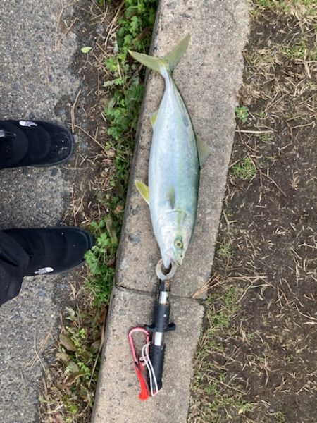 ライトショアジギング