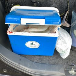 ライトショアジギング