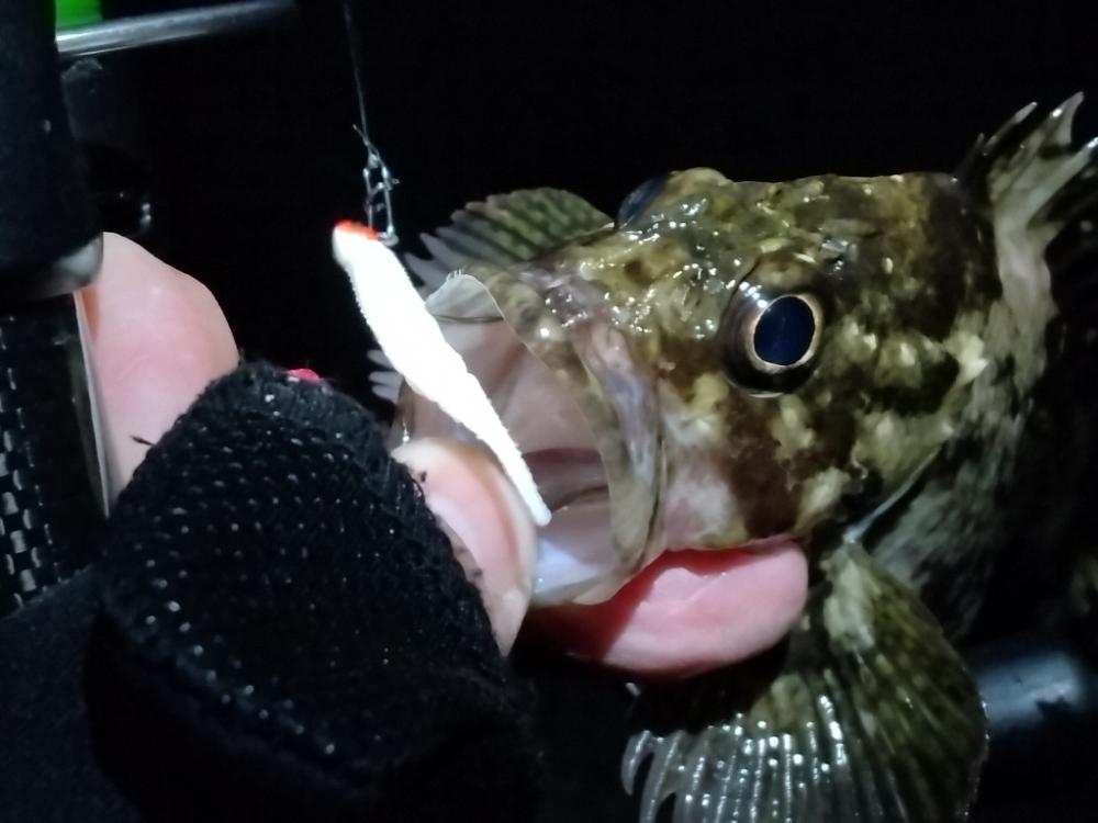 フロートメバリング