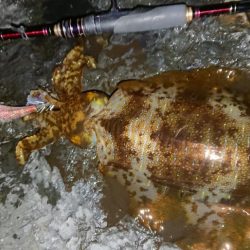 爆風・極寒エギングIN対馬