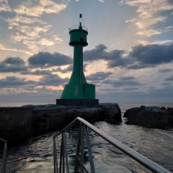 クロ釣り(畝刈)