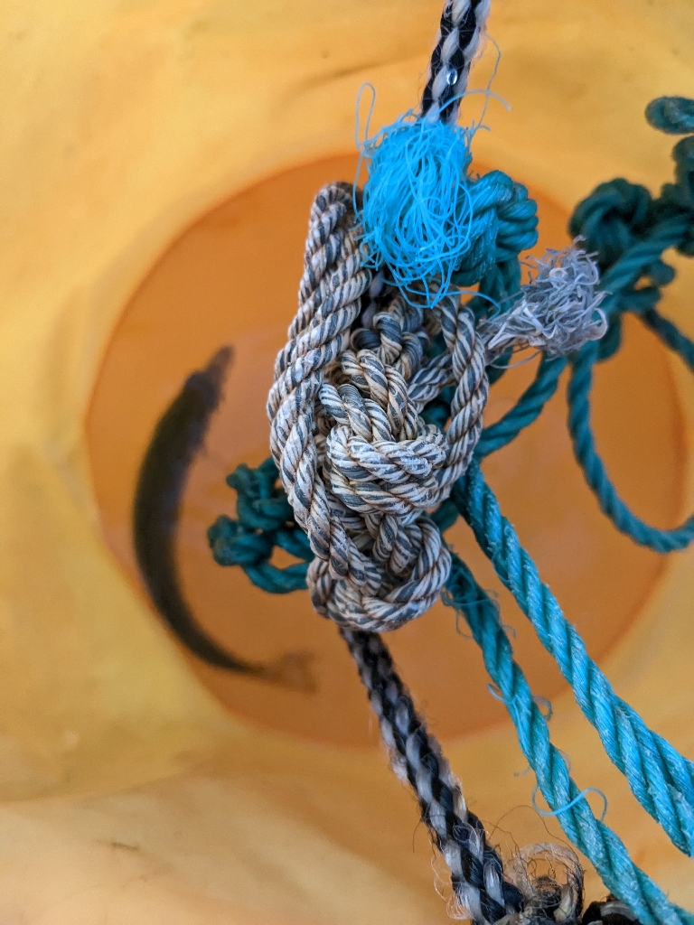 まだまだ釣れる