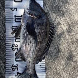 イチノ兄弟（兄）釣果！