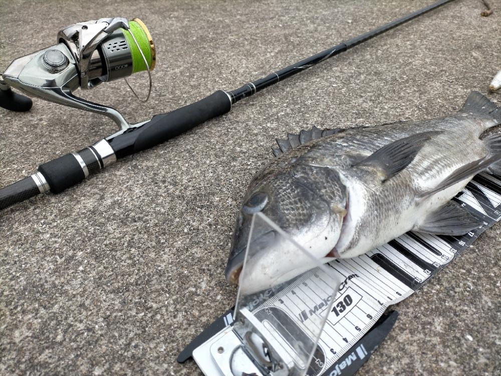 セットアッパーでチヌ