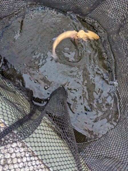 2022年 釣り納め