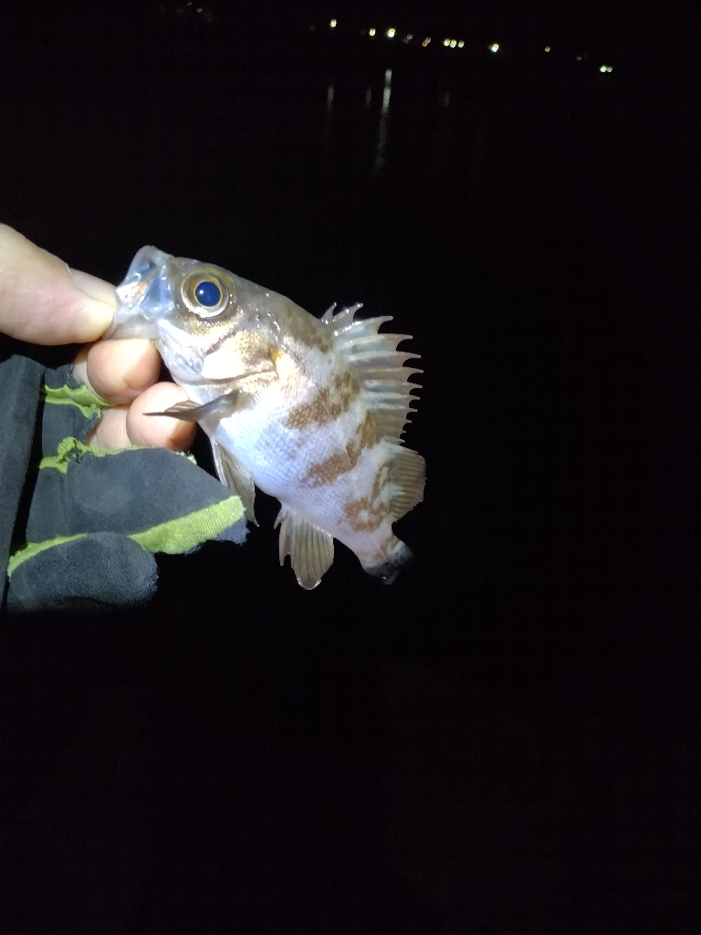 そんなオイシイ話はありません