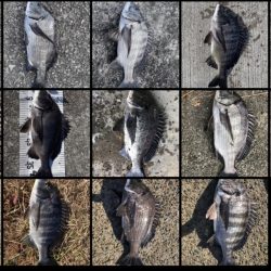 イチノ兄弟（兄）釣果！