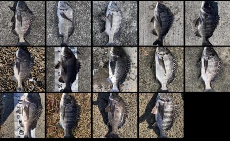 イチノ兄弟（兄）釣果！