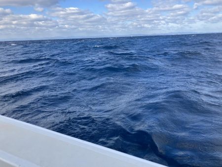 2週間ぶりのトンジギ