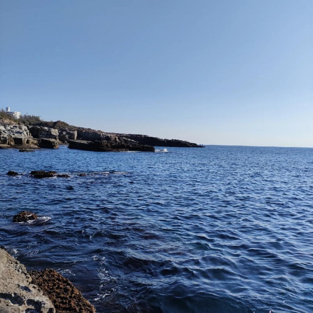 とんでもないものが釣れました！