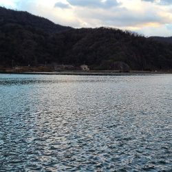 今年初の遠征(後半)