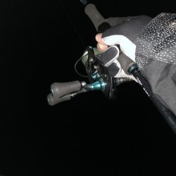 今年2回目釣行で初フィッシュ