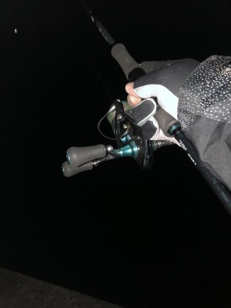 今年2回目釣行で初フィッシュ