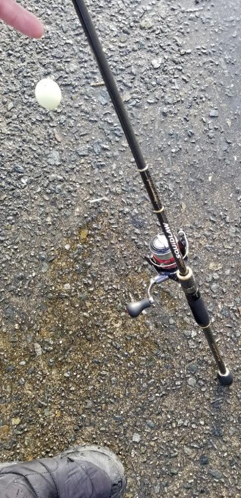 下津は尺アジ大漁でした！