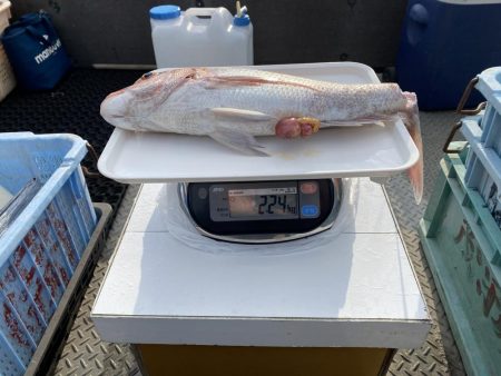 一つテンヤ、SLJ