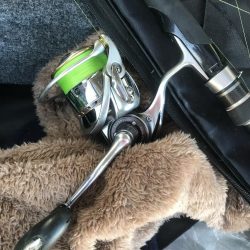 ダイソーメタルジグでカマス6匹GET