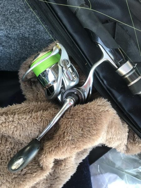 ダイソーメタルジグでカマス6匹GET