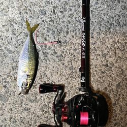 初釣り　淡路島