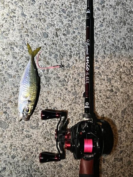 初釣り　淡路島