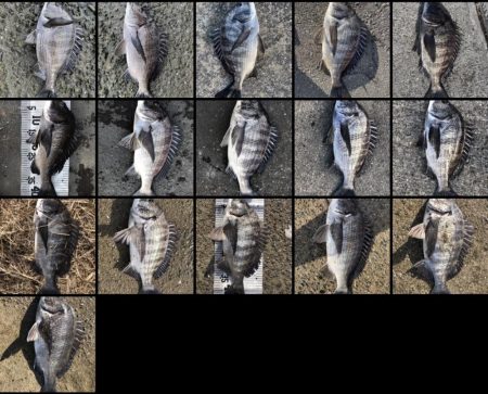 イチノ兄弟（兄）釣果！