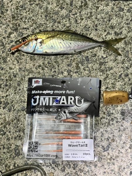 アジングも終盤？