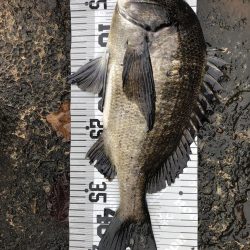 イチノ兄弟(兄)釣果!