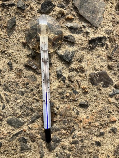 南湖調査→北湖で小バス