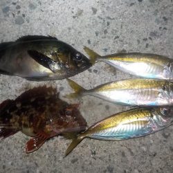 やっぱり　難しいです。